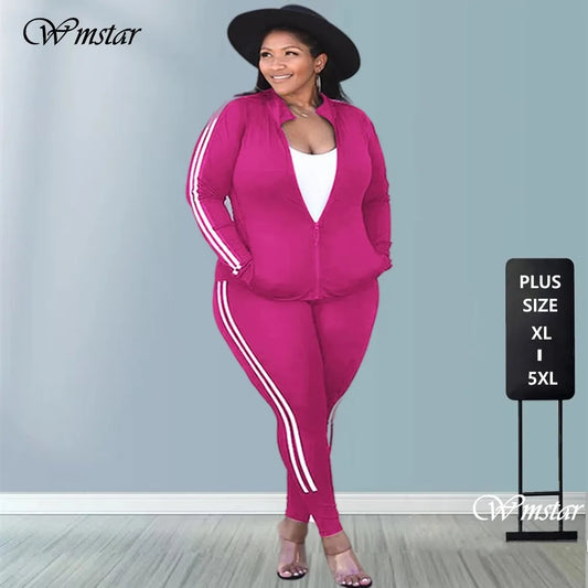 Plus Size 2 Piece Outfits Sweatsuits