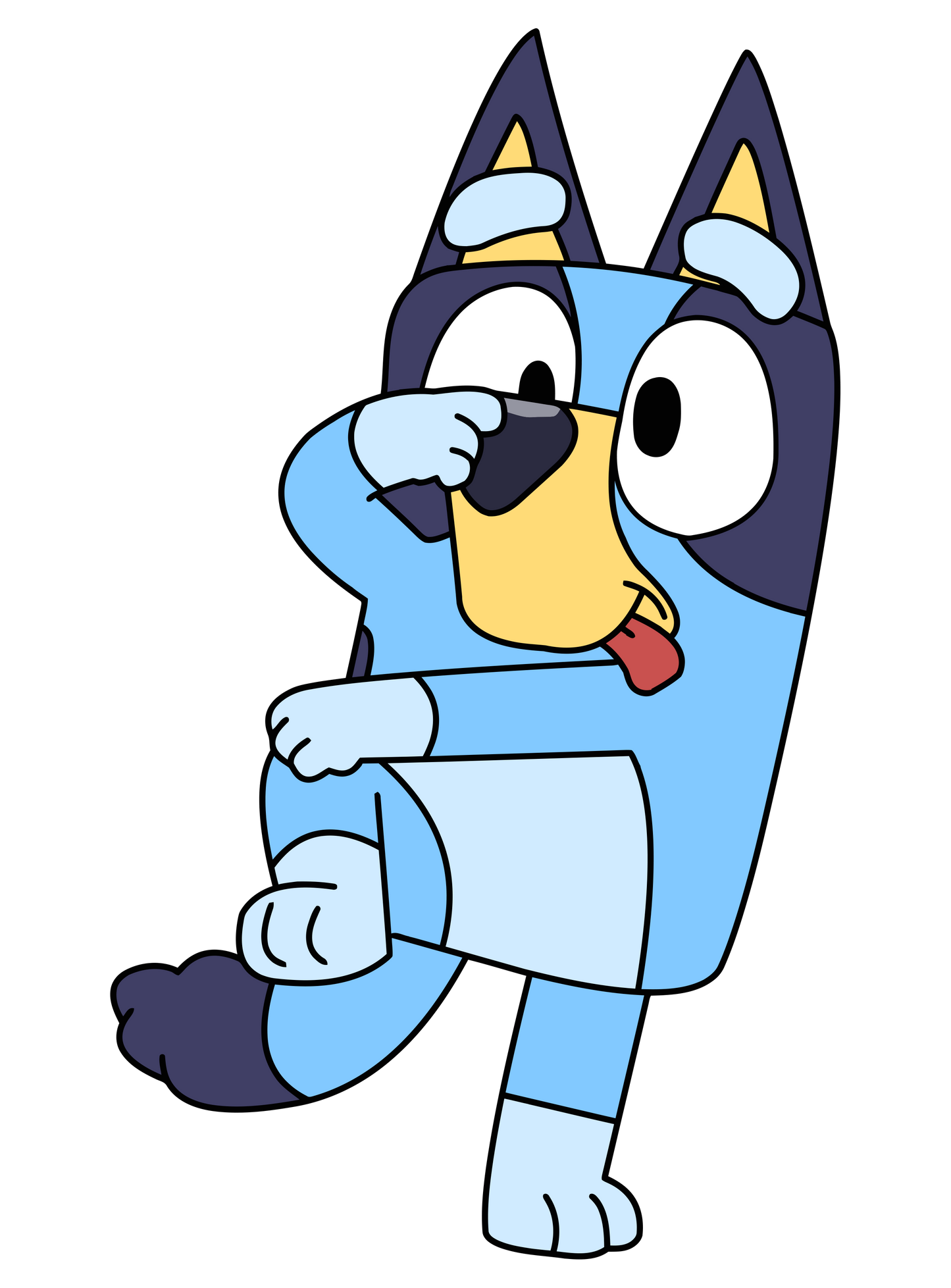 Bluey Family