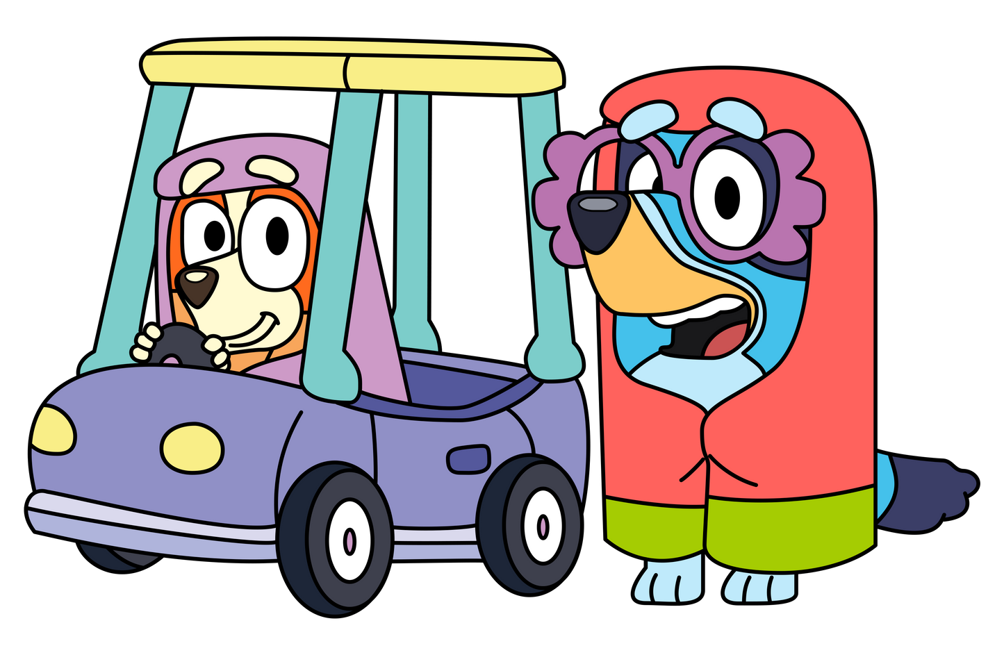 Bluey Family