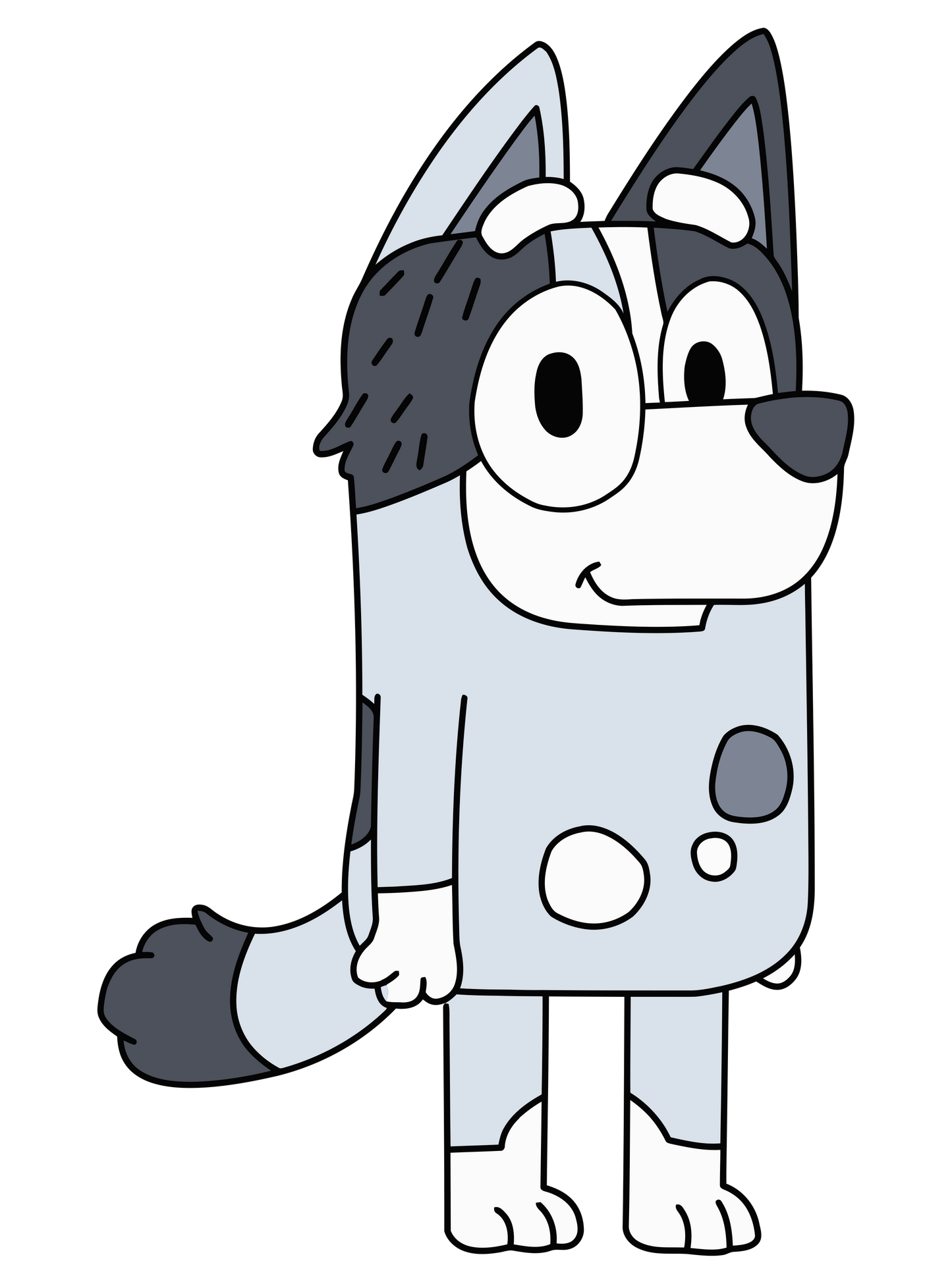Bluey Family