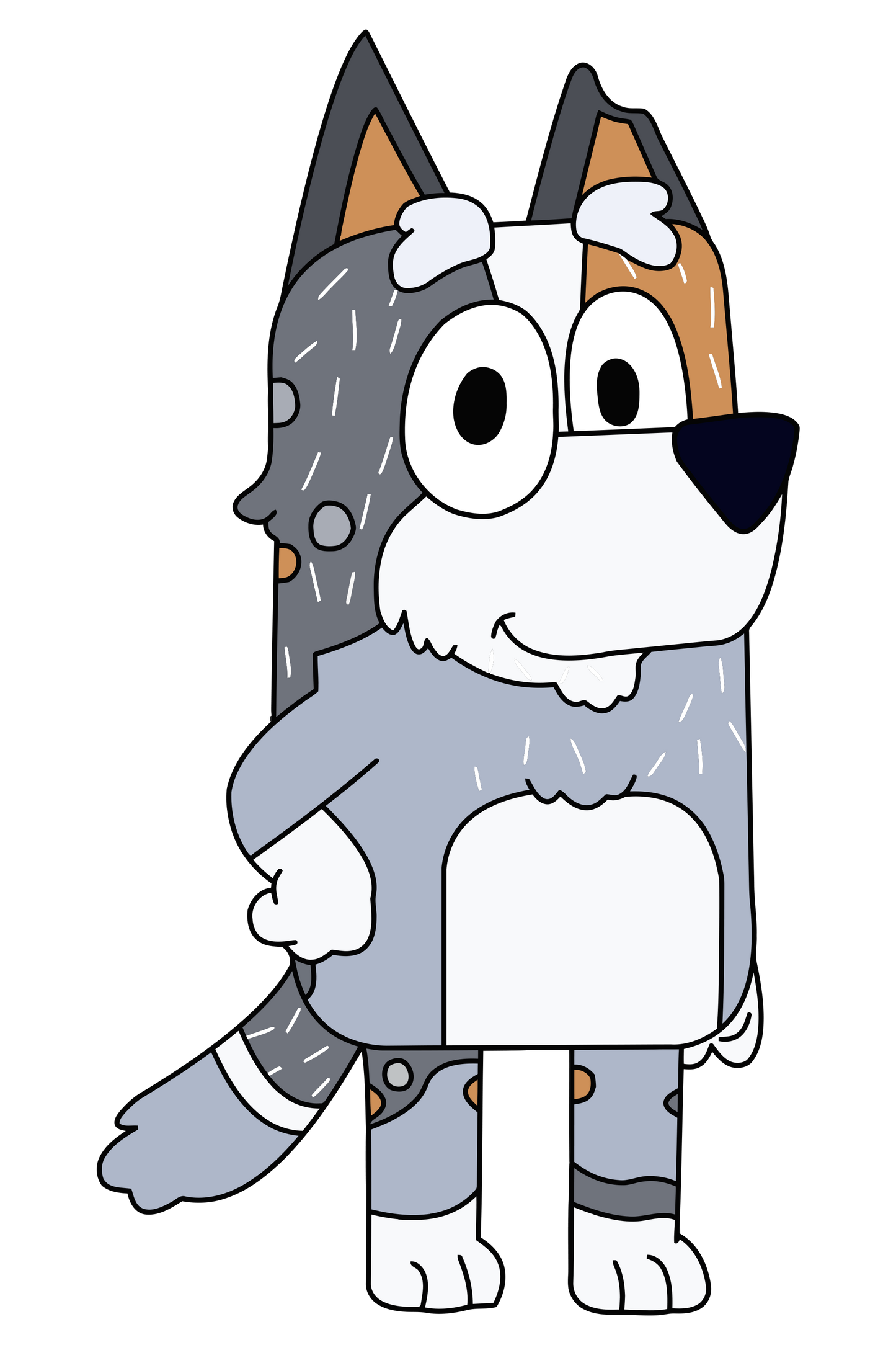 Bluey Family