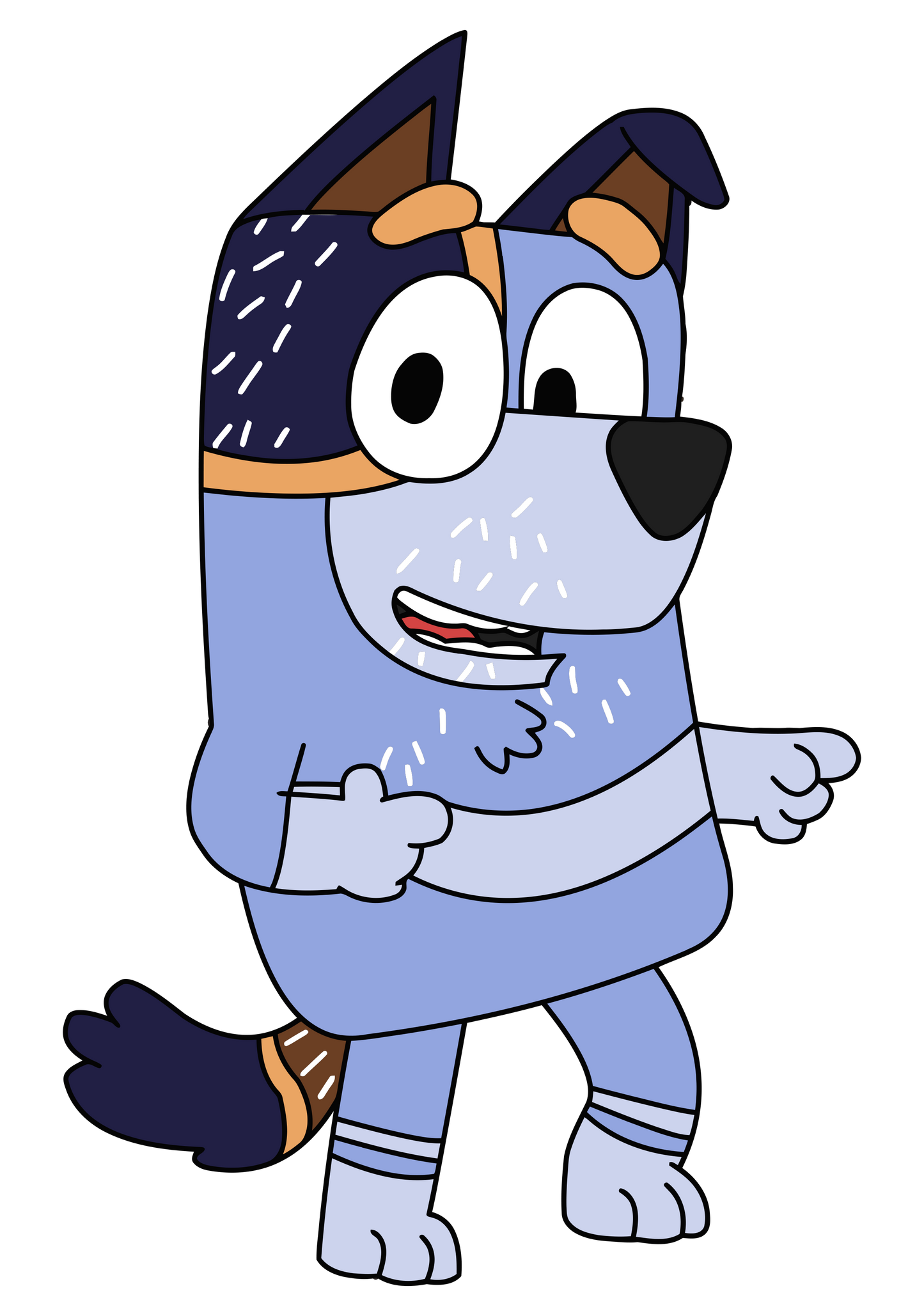 Bluey Family