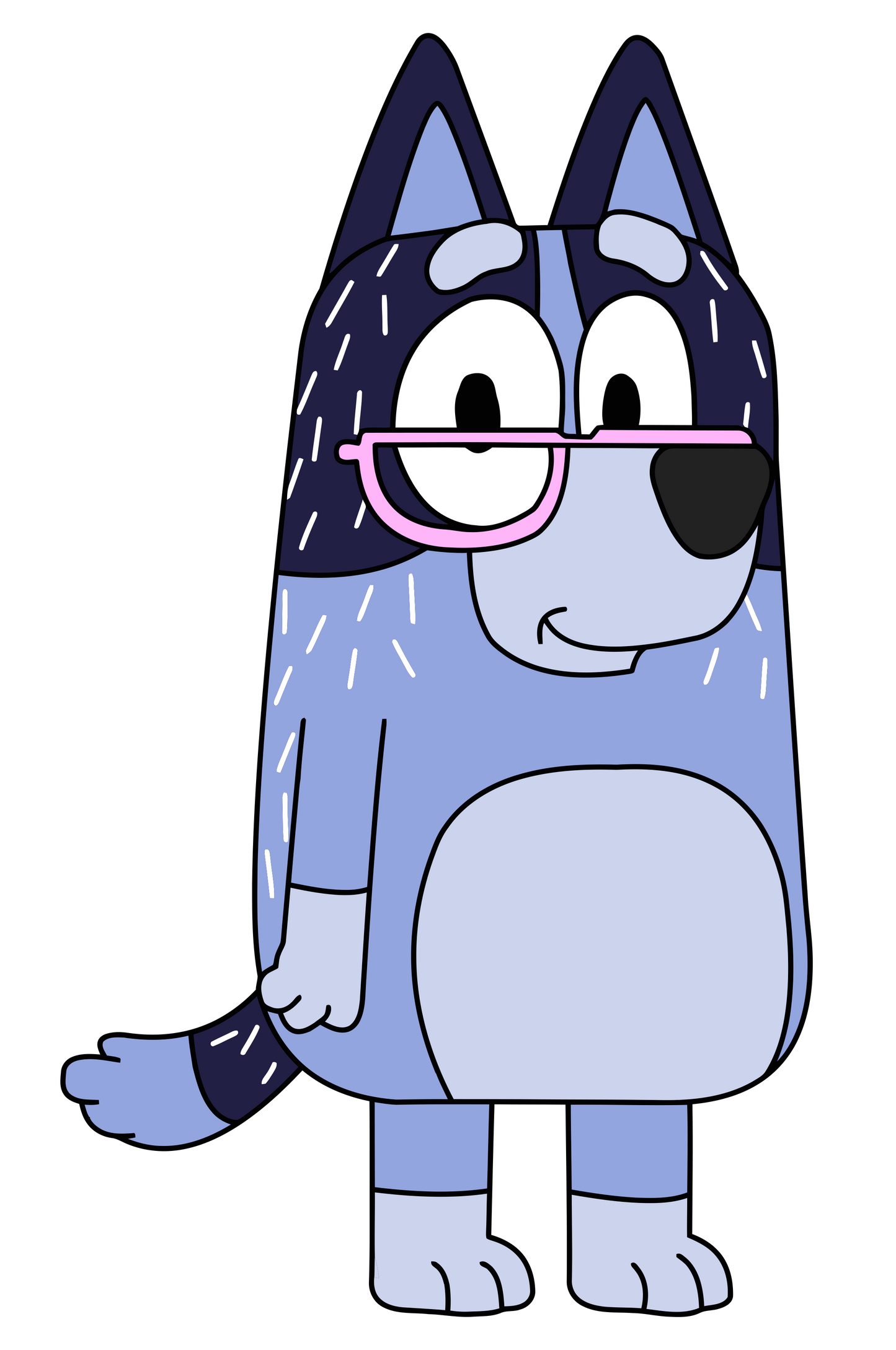 Bluey Family